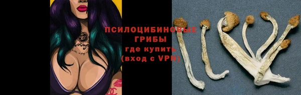 МДПВ Сатка