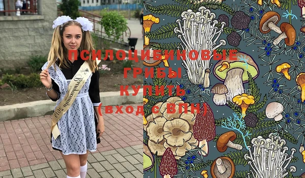 первитин Надым